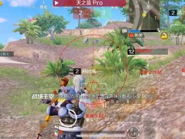 和平精英火焰鸟辅助 - 三端通用直装透视挂
